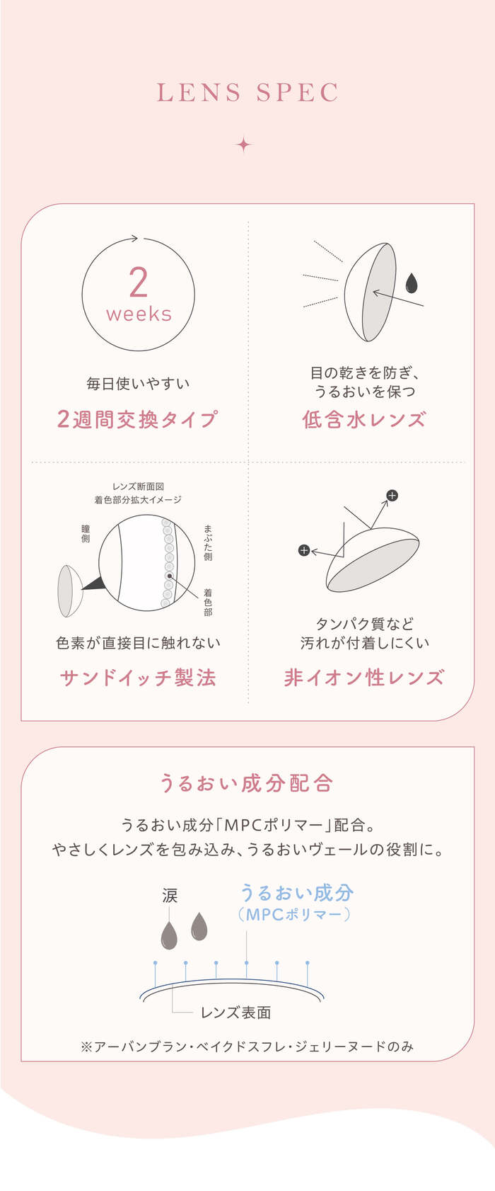 エルージュ　eRouge　1箱6枚入り　スムースブラウン